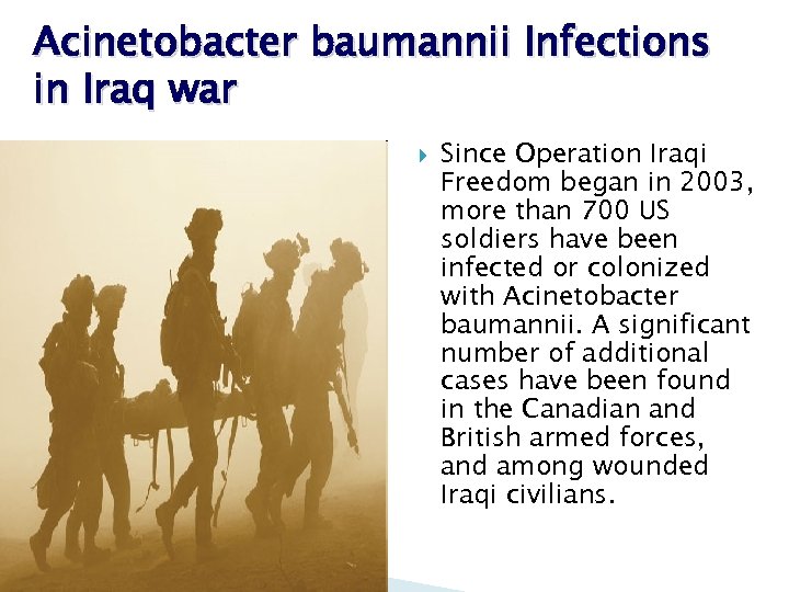 Acinetobacter baumannii Infections in Iraq war Since Operation Iraqi Freedom began in 2003, more