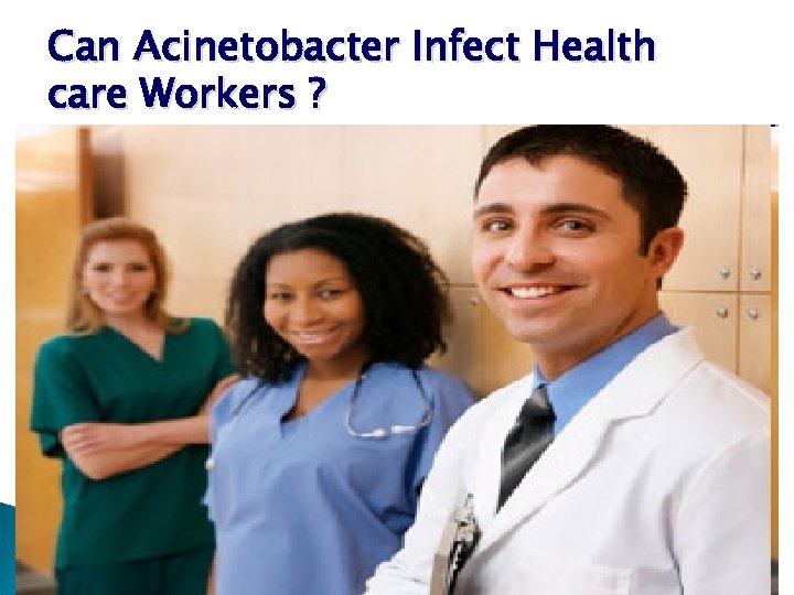 Can Acinetobacter Infect Health care Workers ? 