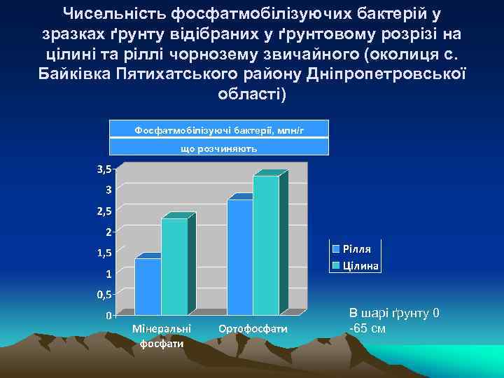 Чисельність фосфатмобілізуючих бактерій у зразках ґрунту відібраних у ґрунтовому розрізі на цілині та ріллі