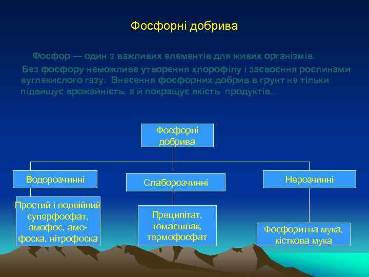 Фосфорні добрива Фосфор — один з важливих елементів для живих організмів. Без фосфору неможливе