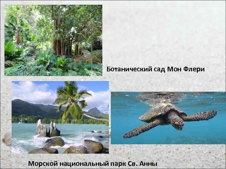 Ботанический сад Мон Флери Морской национальный парк Св. Анны 