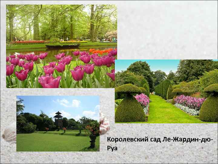 Королевский сад Ле-Жардин-дю. Руа 