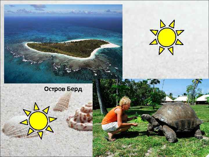 Остров Берд 