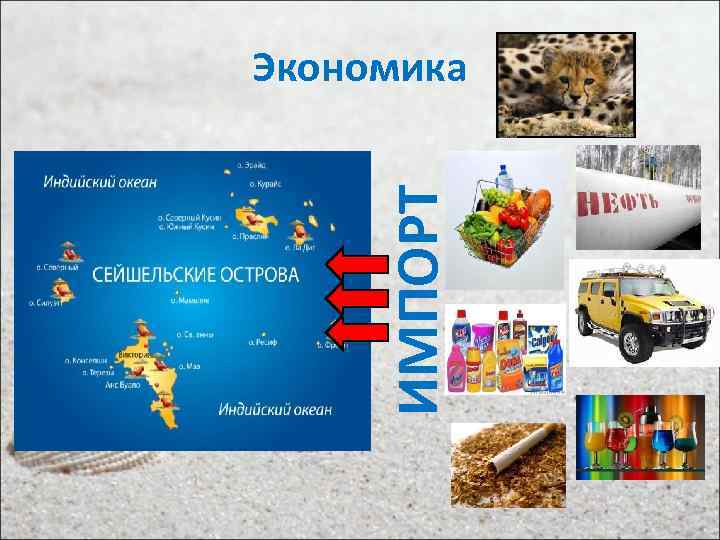 ИМПОРТ Экономика 