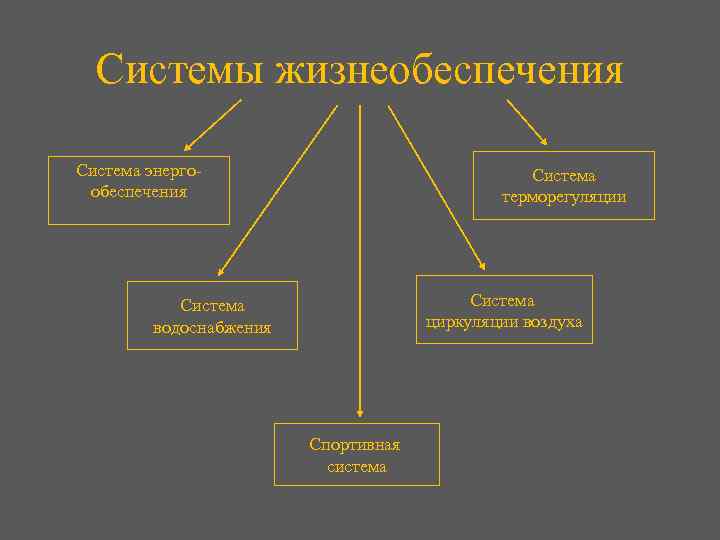 Системы жизнеобеспечения Система энергообеспечения Система терморегуляции Система циркуляции воздуха Система водоснабжения Спортивная система 