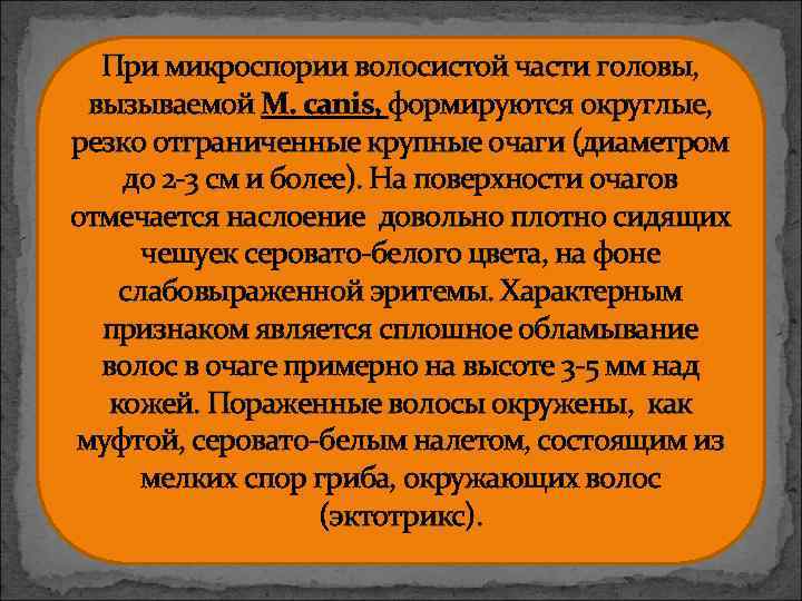 При микроспории волосистой части головы, вызываемой M. canis, формируются округлые, резко отграниченные крупные очаги