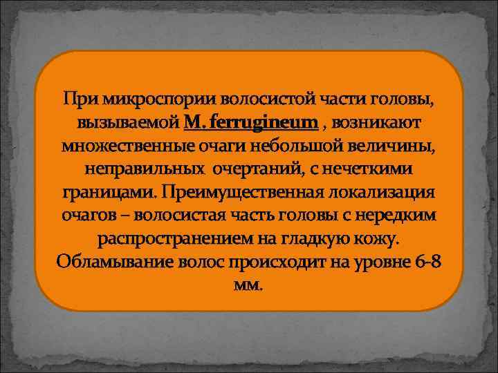 При микроспории волосистой части головы, вызываемой M. ferrugineum , возникают множественные очаги небольшой величины,