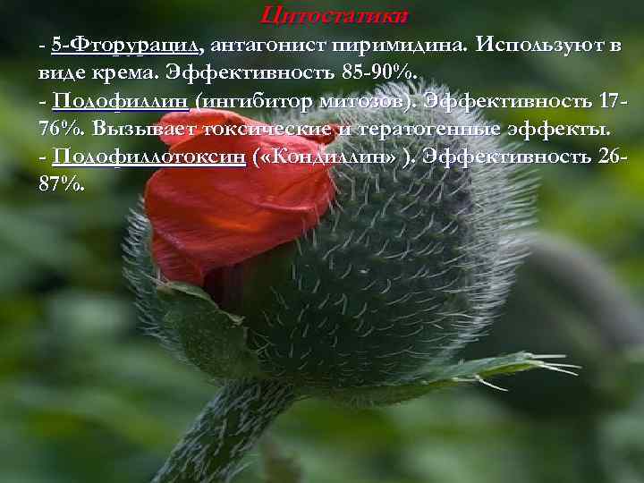 Цитостатики : - 5 -Фторурацил, антагонист пиримидина. Используют в виде крема. Эффективность 85 -90%.