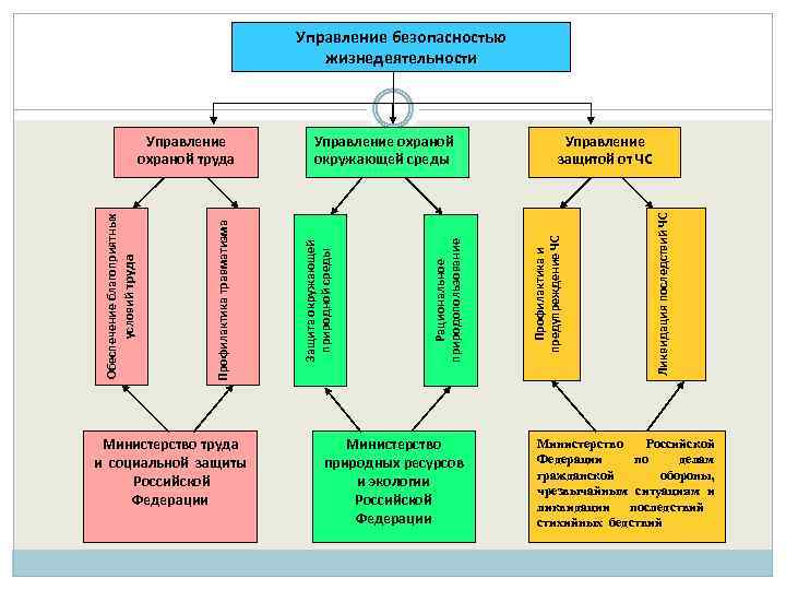 Управление безопасностью жизнедеятельности Министерство труда и социальной защиты Российской Федерации Министерство природных ресурсов и