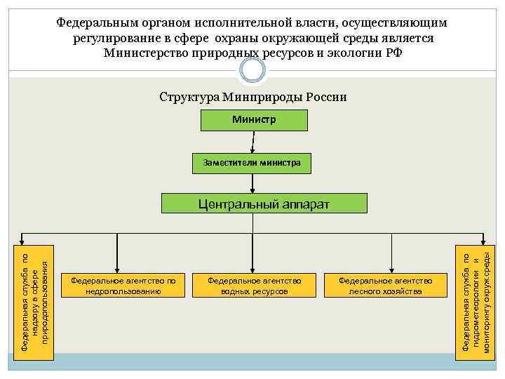 Федеральным органом исполнительной власти, осуществляющим регулирование в сфере охраны окружающей среды является Министерство природных