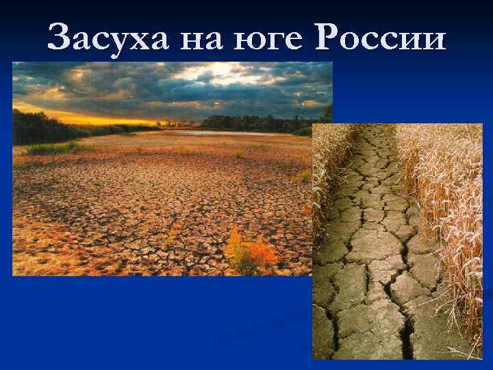 Засуха на юге России 