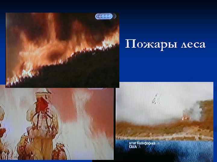 Пожары леса 