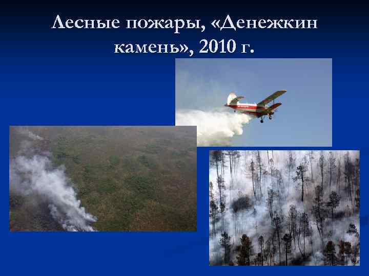 Лесные пожары, «Денежкин камень» , 2010 г. 