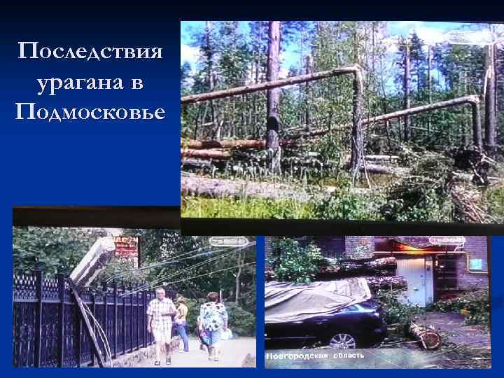 Последствия урагана в Подмосковье 
