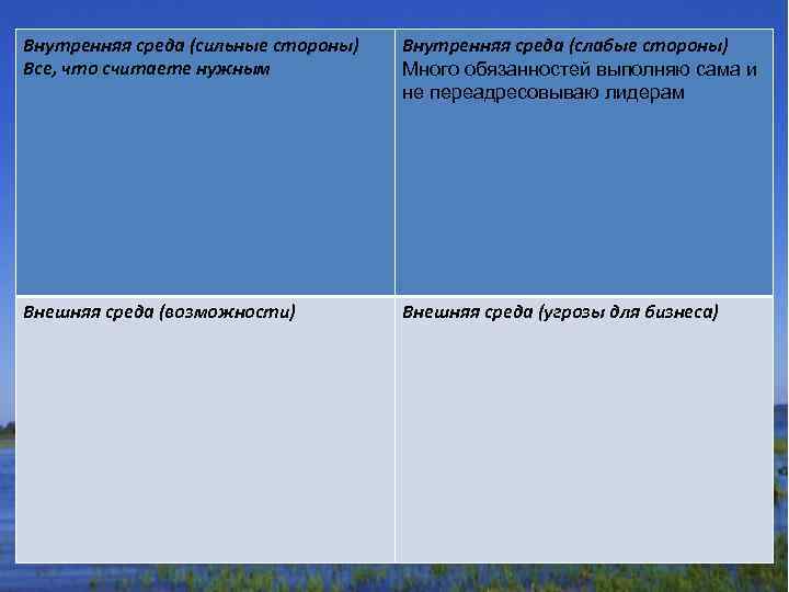 Внутренняя среда (сильные стороны) Все, что считаете нужным Внутренняя среда (слабые стороны) Много обязанностей