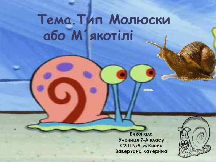 Виконала Учениця 7 -А класу СЗШ № 9 м. Києва Завертана Катерина 