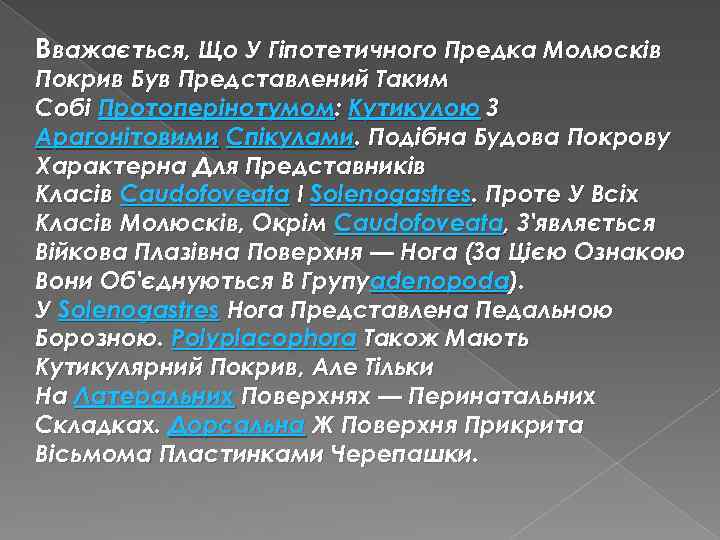 Вважається, Що У Гіпотетичного Предка Молюсків Покрив Був Представлений Таким Собі Протоперінотумом: Кутикулою З