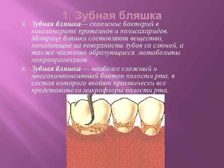 1. Зубная бляшка— скопление бактерий в конгломерате протеинов и полисахаридов. Матрицу бляшки составляют вещества,