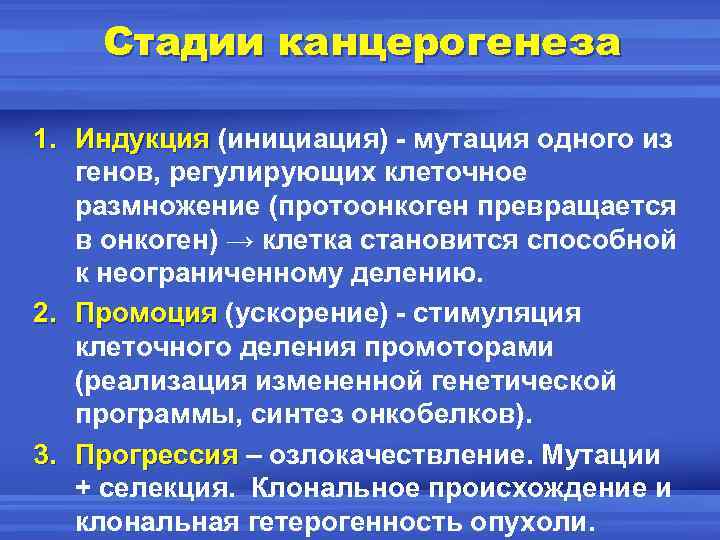 Стадии опухоли. Стадии канцерогенеза патофизиология. Этапы канцерогенеза. Стадия промоции в канцерогенезе. Стадия инициации опухоли.