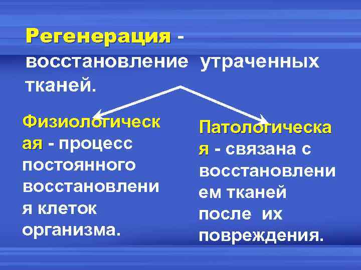 Восстановление тканей. Неполное восстановление тканей.. Формы регенерации тканей. Восстановление тканей после повреждения.