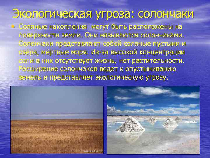 Солончаки почвы где. Солончаки почвы на карте. Солончаки где находятся.