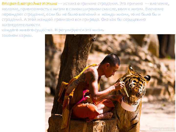 Вторая Благородная Истина — истина о причине страдания. Эта причина — влечение, желание, привязанность