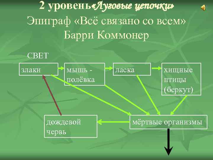 2 уровень «Луговые цепочки» Эпиграф «Всё связано со всем» Барри Коммонер СВЕТ злаки мышь