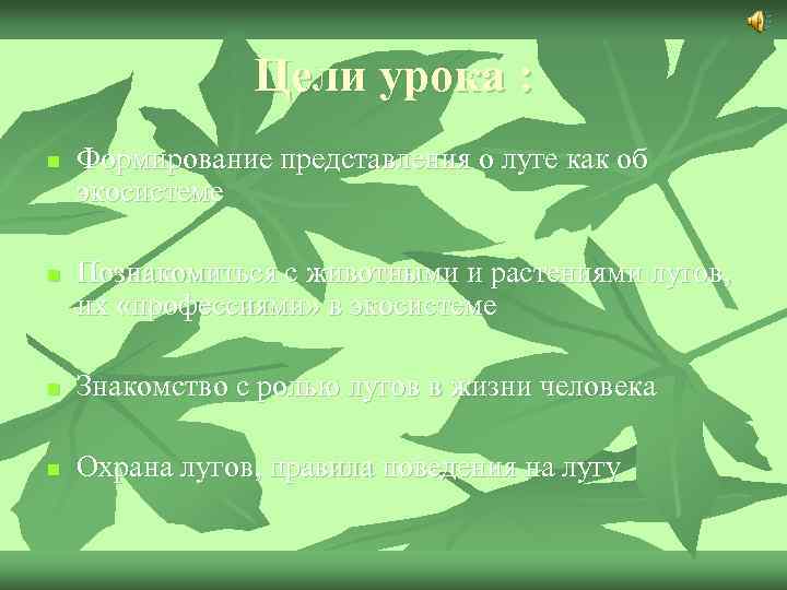 Цели урока : n n Формирование представления о луге как об экосистеме Познакомиться с