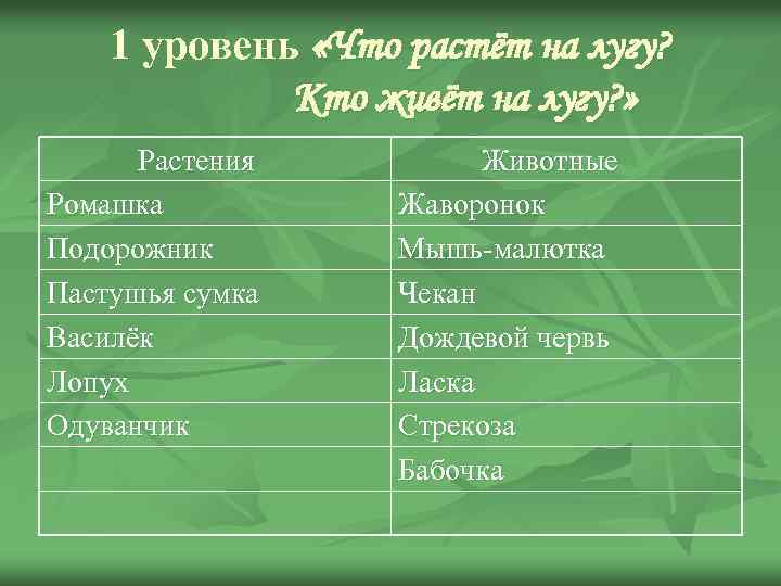 1 уровень «Что растёт на лугу? Кто живёт на лугу? » Растения Ромашка Подорожник