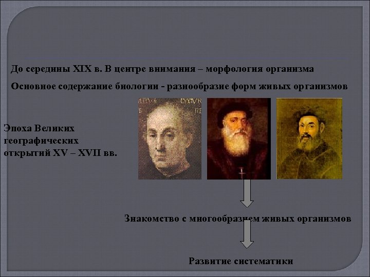 До середины XIX в. В центре внимания – морфология организма Основное содержание биологии -