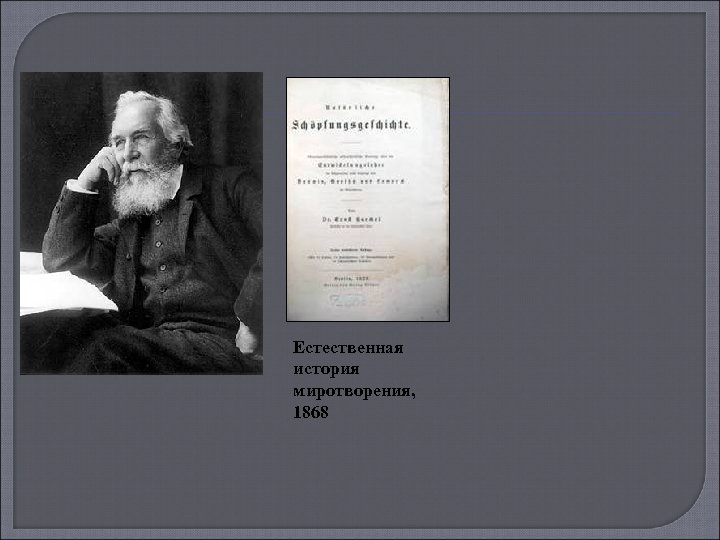 Естественная история миротворения, 1868 