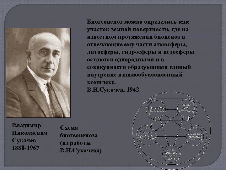 Биогеоценоз можно определить как участок земной поверхности, где на известном протяжении биоценоз и отвечающие