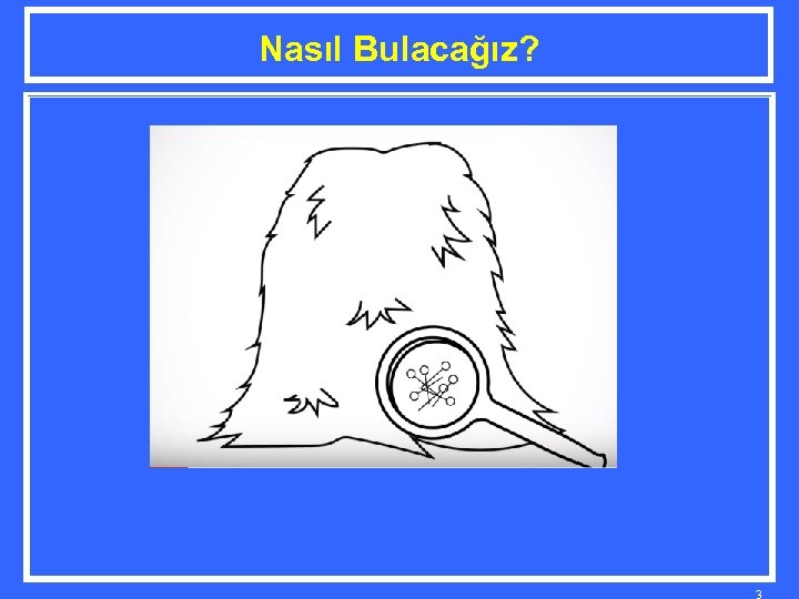 Nasıl Bulacağız? 3 