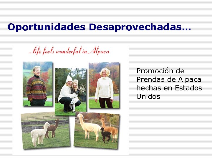 Oportunidades Desaprovechadas… Promoción de Prendas de Alpaca hechas en Estados Unidos 