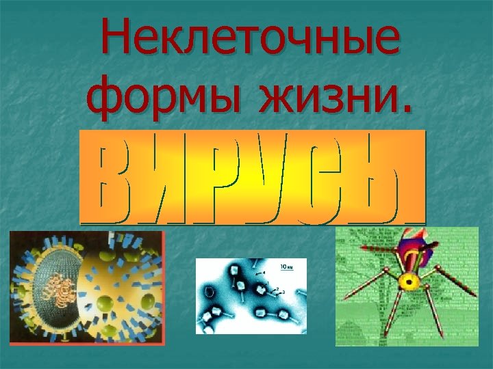 Неклеточные формы жизни. 
