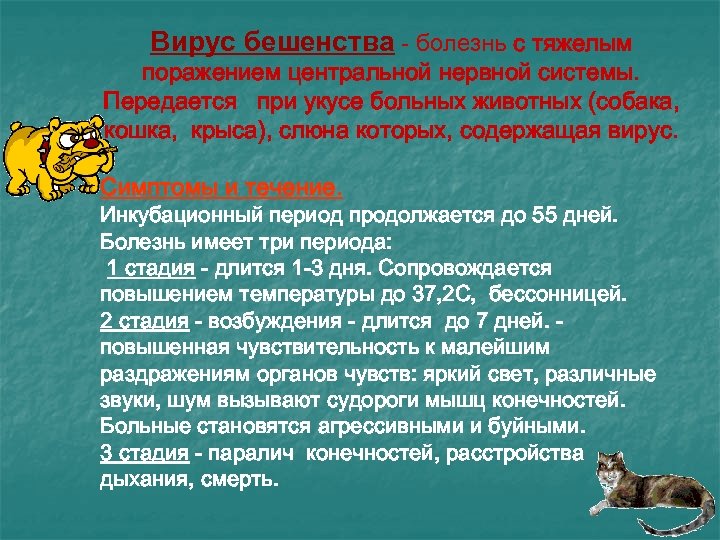 Вирус бешенства - болезнь с тяжелым поражением центральной нервной системы. Передается при укусе больных