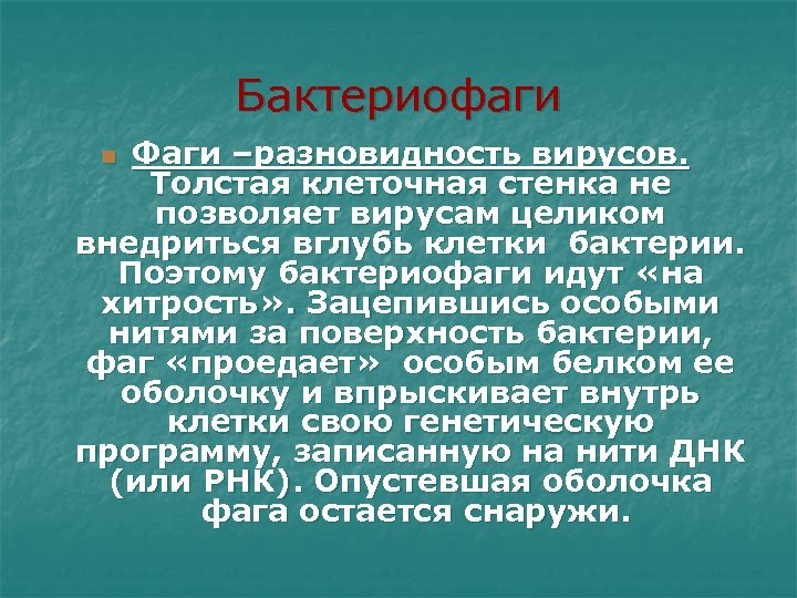 Бактериофаги Фаги –разновидность вирусов. Толстая клеточная стенка не позволяет вирусам целиком внедриться вглубь клетки
