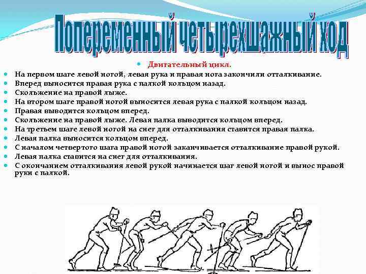  Двигательный цикл. На первом шаге левой ногой, левая рука и правая нога закончили