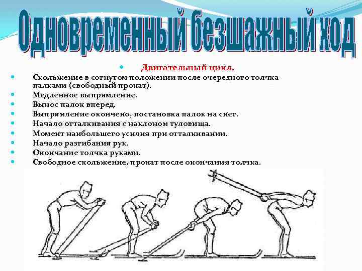  Двигательный цикл. Скольжение в согнутом положении после очередного толчка палками (свободный прокат). Медленное