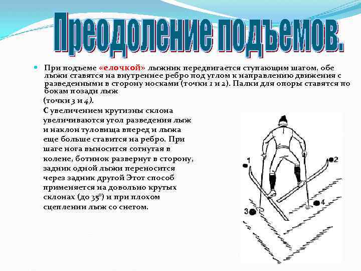 Где ошибка в технике подъема елочкой. Способ подъема на лыжах елочка. При подъеме ступающим шагом. При подъеме "елочкой". Техника выполнения подъема елочкой на лыжах.