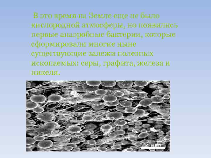 В это время на Земле еще не было кислородной атмосферы, но появились первые анаэробные