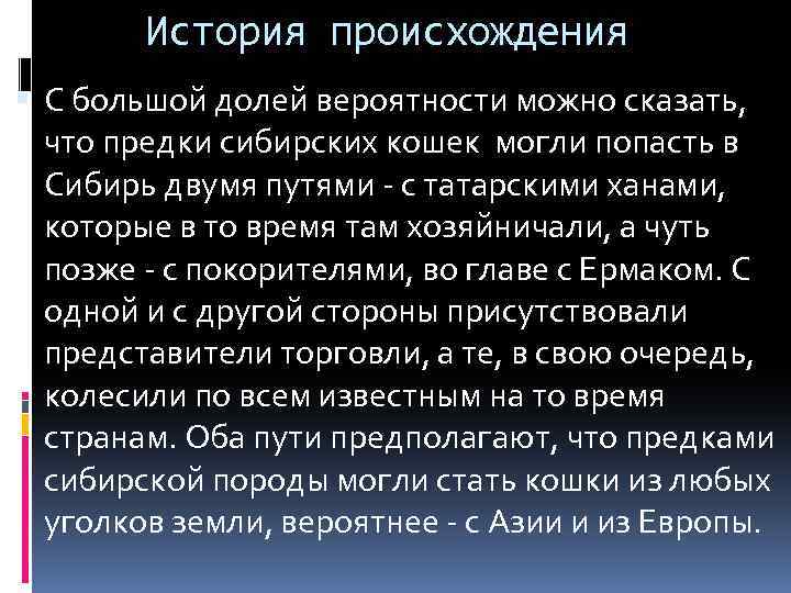 История происхождения С большой долей вероятности можно сказать, что предки сибирских кошек могли попасть