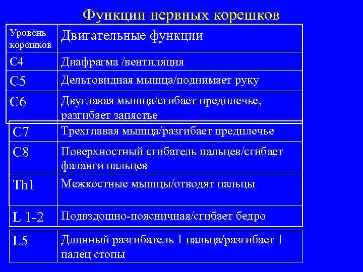 Функции нервных корешков Уровень корешков Двигательные функции С 4 Диафрагма /вентиляция Дельтовидная мышца/поднимает руку