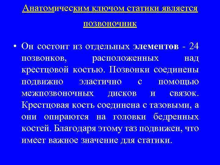 Анатомическим ключом статики является позвоночник • Он состоит из отдельных элементов - 24 позвонков,