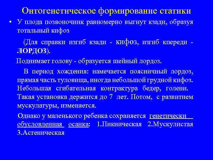 Онтогенетическое формирование статики • У плода позвоночник равномерно выгнут кзади, образуя тотальный кифоз (Для