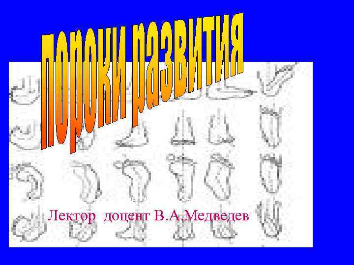 Лектор доцент В. А. Медведев 