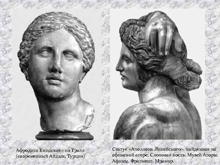 Афродита Книдская» из Тралл (современный Айдын, Турция) Статуя «Аполлона Ликейского» , найденная на афинской