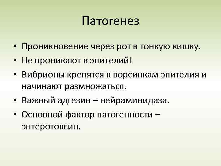 Патогенез • Проникновение через рот в тонкую кишку. • Не проникают в эпителий! •