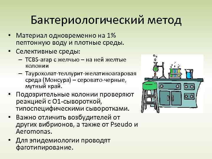 Бактериологический метод • Материал одновременно на 1% пептонную воду и плотные среды. • Селективные