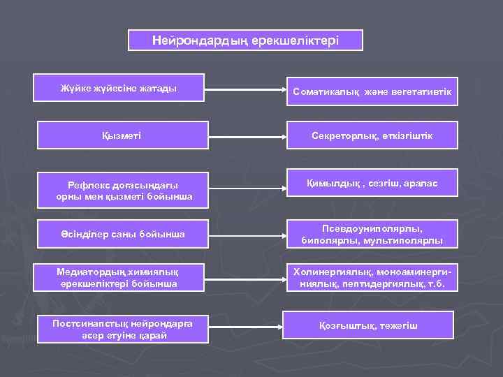 Нейрондардың ерекшеліктері Жүйке жүйесіне жатады Соматикалық және вегетативтік Қызметі Секреторлық, өткізгіштік Рефлекс доғасындағы орны